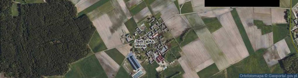 Zdjęcie satelitarne Jastrząbka Młoda ul.
